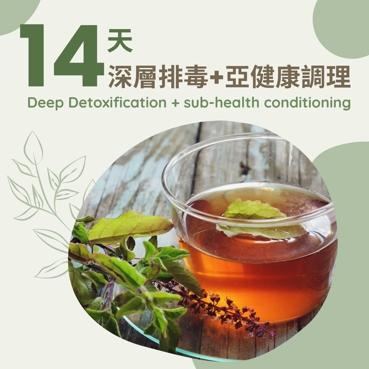 14天深層排毒淨化+滋養修復療 Deep detox+Nourishing & Repairng Treatment