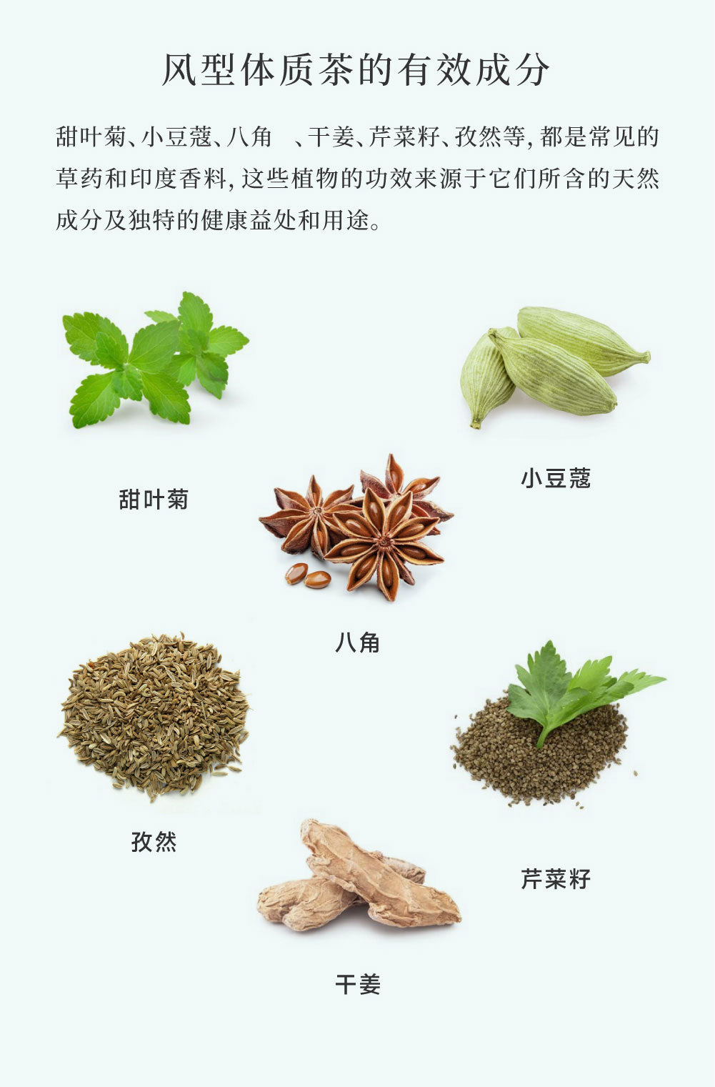 阿育吠陀草本茶 Ayurveda Herbal Tea-VATA(風型)茶