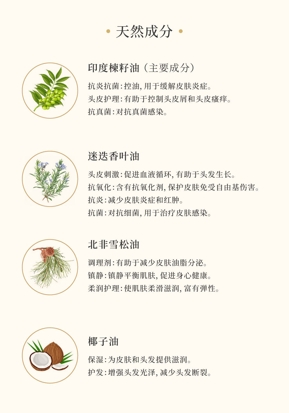 苦楝清爽洗髮水 Refreshing & Silky Shampoo