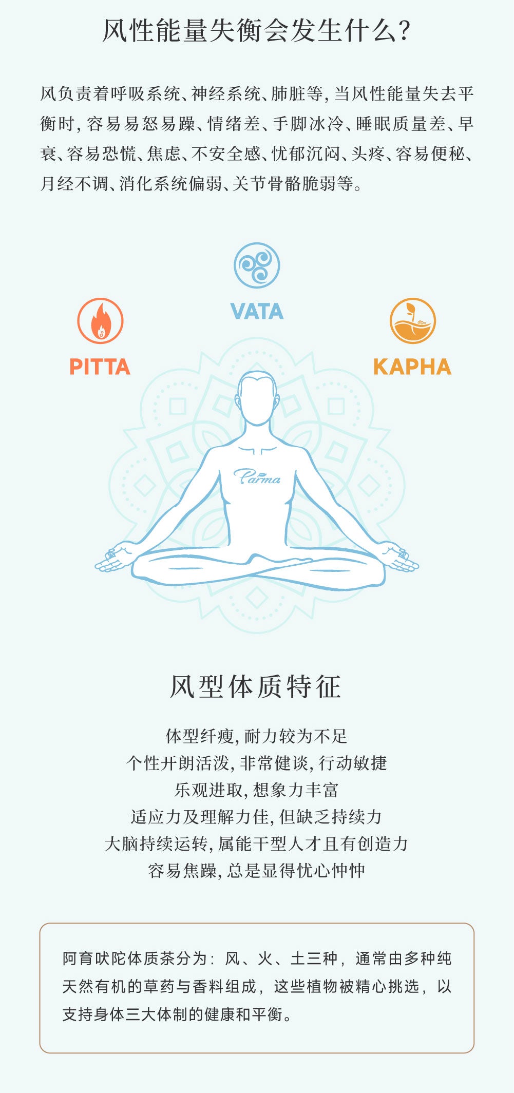 阿育吠陀草本茶Ayurveda Herbal Tea－VATA（风型）茶